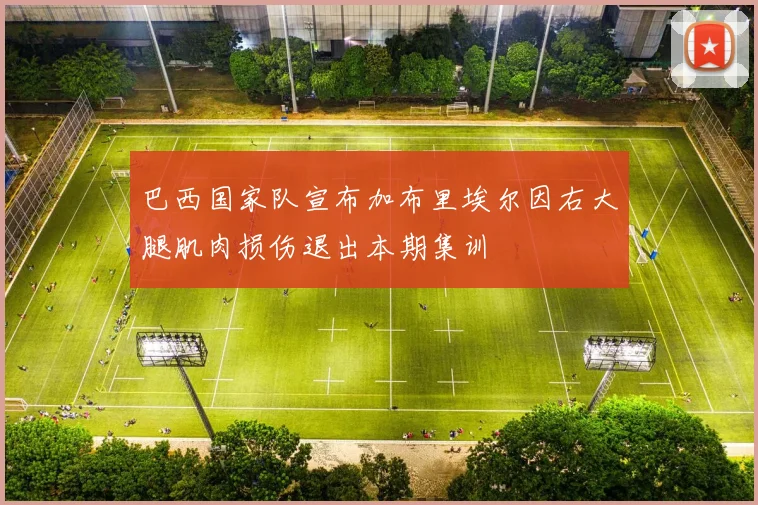 巴西国家队宣布加布里埃尔因右大腿肌肉损伤退出本期集训