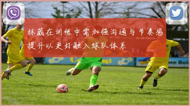 林葳在训练中需加强沟通与节奏感提升以更好融入球队体系