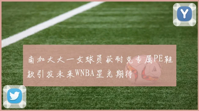 南加大大一女球员获耐克专属PE鞋款引发未来WNBA星光期待