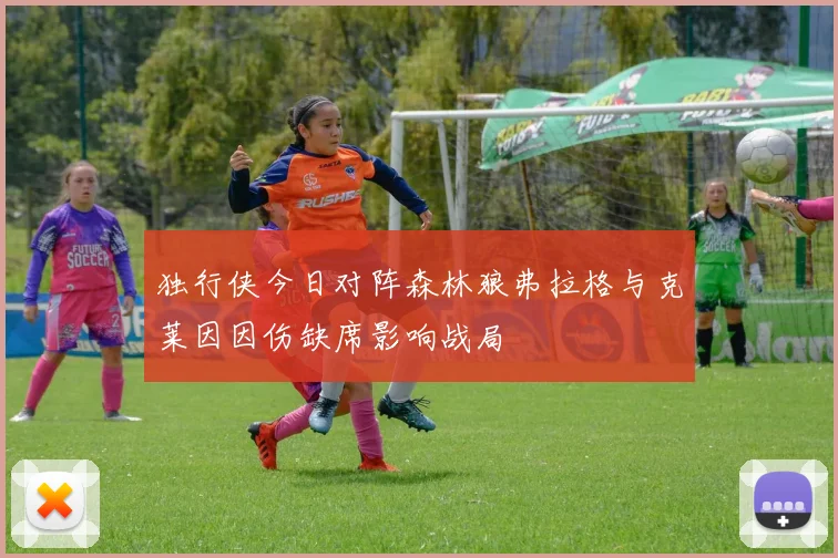 独行侠今日对阵森林狼弗拉格与克莱因因伤缺席影响战局
