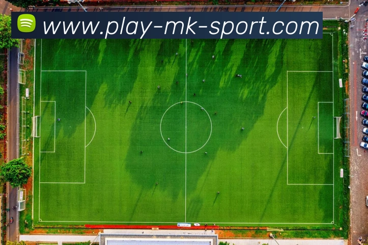 MK体育平台生态图