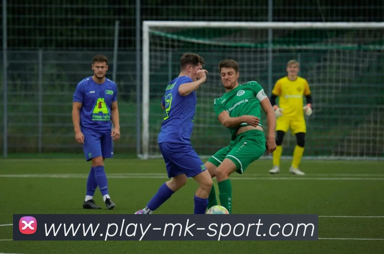 MK体育APP 封面图